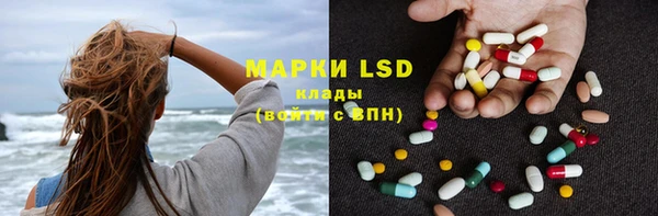 прущие грибы Бронницы