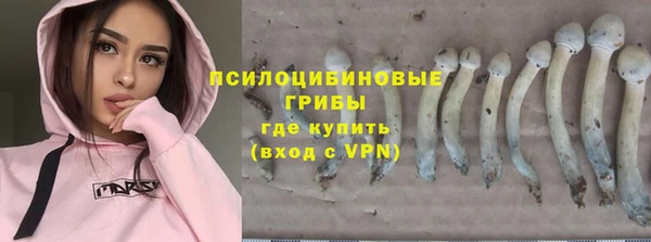 бутират Бородино