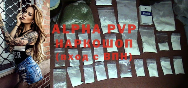 прущие грибы Бронницы