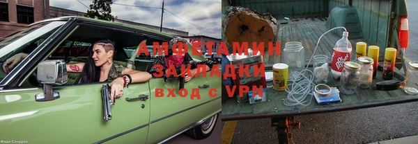 прущие грибы Бронницы