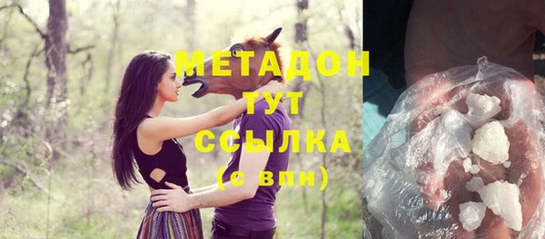 прущие грибы Бронницы