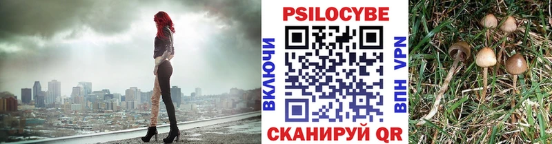 Псилоцибиновые грибы мицелий  Армавир 