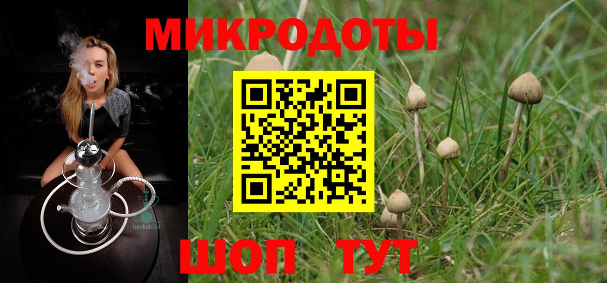 Галлюциногенные грибы мицелий  Вход с VPN  Армавир  Галлюциногенные грибы Psilocybine cubensis 